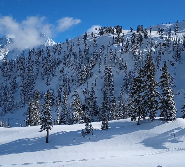 Mt. Baker Ski Area - Heather Meadows Base Area (Deming,&nbspWA)